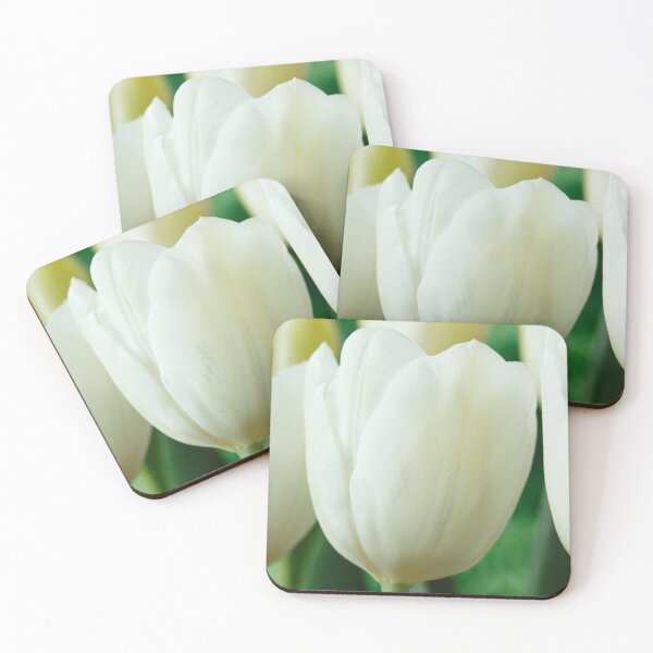 Item preview, Tulipa  'White Dream'  Tulip  designed and sold by Chris Burrows.