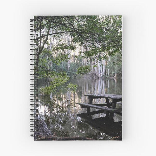Item preview, Reflective Sanitorium Picnic, Macedon, Victoria designed and sold by Susan Henry.