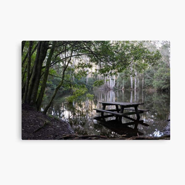 Item preview, Reflective Sanitorium Picnic, Macedon, Victoria designed and sold by Susan Henry.
