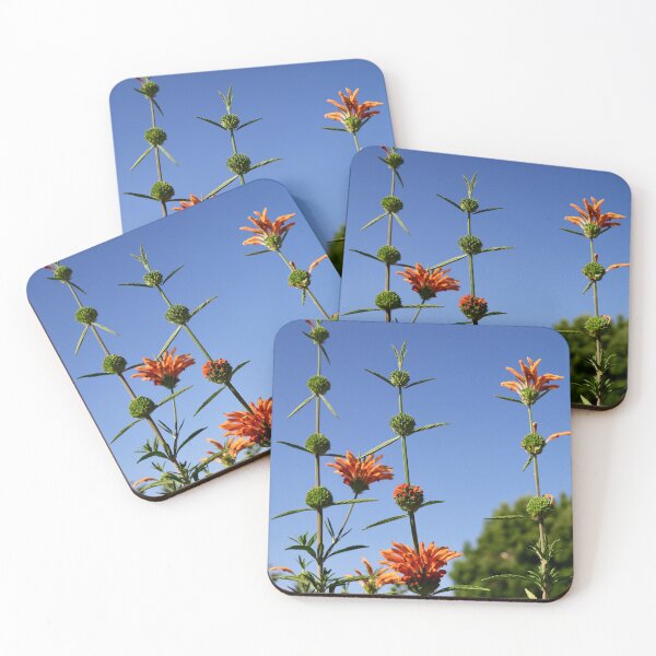 Item preview, Lion's Tail: Summer joy in the garden designed and sold by Susan Henry.