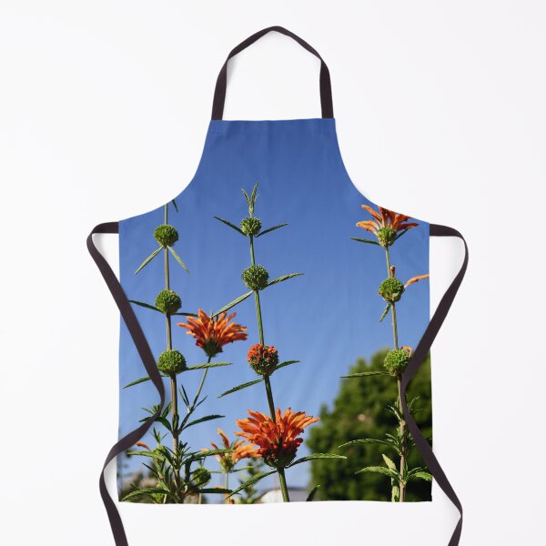 Item preview, Lion's Tail: Summer joy in the garden designed and sold by Susan Henry.