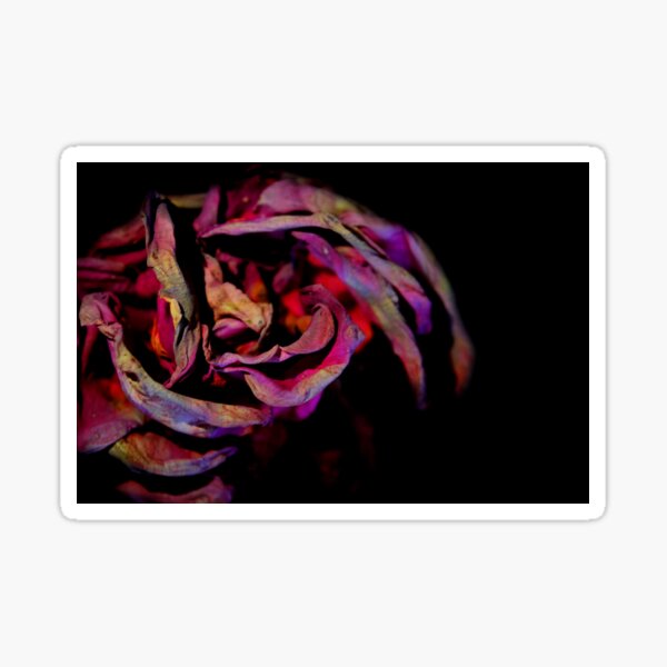Item preview, Fragrant Fragility designed and sold by Shannon Higgs.