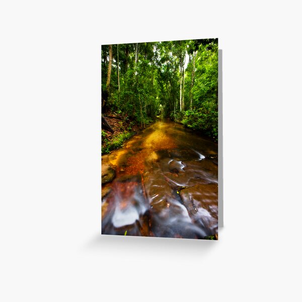 The Memory of Water Greeting Card