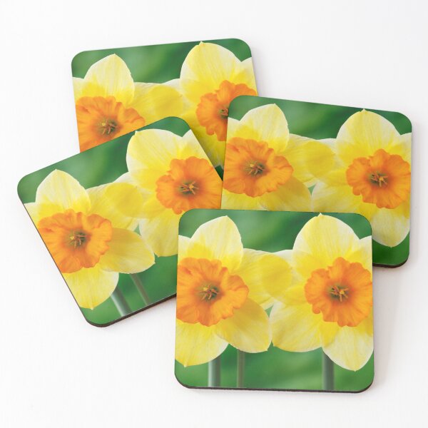 Item preview, Narcissus  'Derringer'  Daffodil  Div. 7  Jonquilla   designed and sold by Chris Burrows.