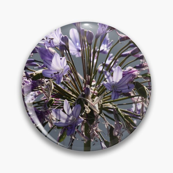 Artikelvorschau, Ein Tag im Leben – Agapanthus entworfen und verkauft von Susan Henry.