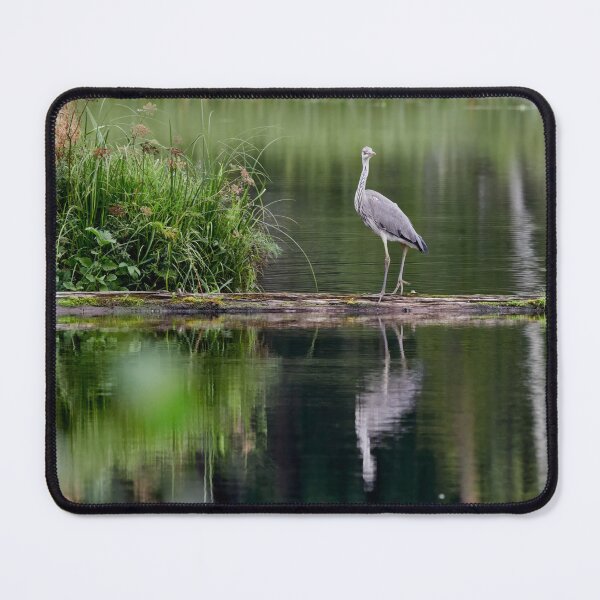 Item preview, Grey heron and a bush designed and sold by Jouko Lehto Photography.