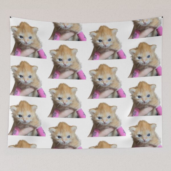 Item preview, Tater Tot sweet ginger orange tabby kitten designed and sold by Fern-and-Fyre.