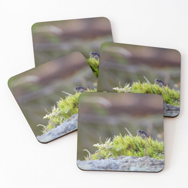 Item preview, Small king of the tiny hill designed and sold by WildEncounters.