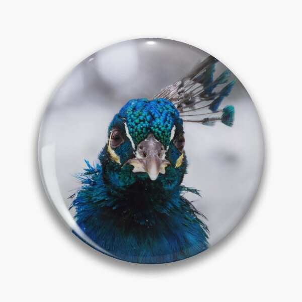 Item preview, Peacock in the snow designed and sold by WildEncounters.