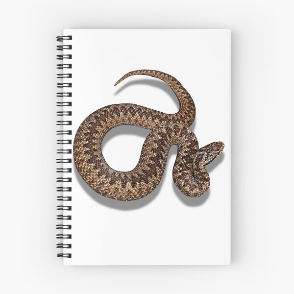 Item preview, Adder or Viper Snake designed and sold by Robin3DT.