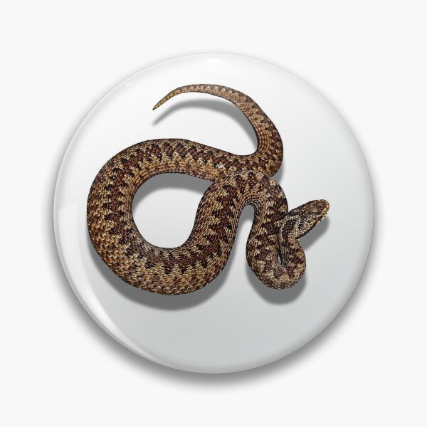 Item preview, Adder or Viper Snake designed and sold by Robin3DT.