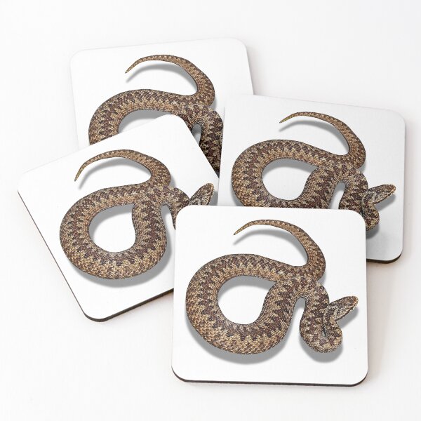 Item preview, Adder or Viper Snake designed and sold by Robin3DT.