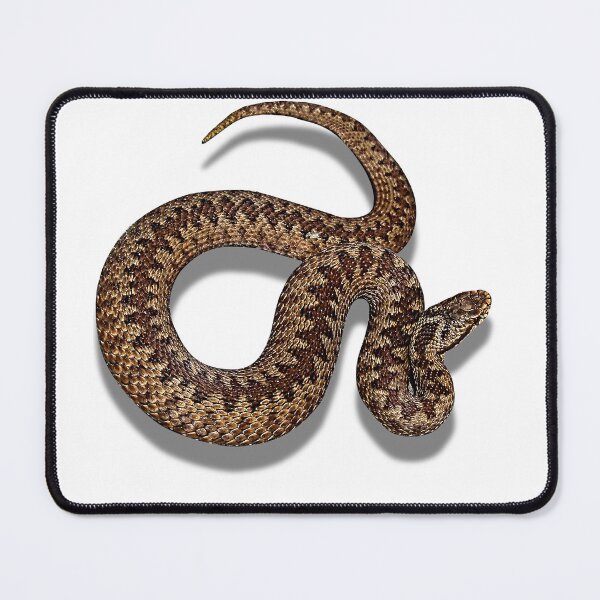Item preview, Adder or Viper Snake designed and sold by Robin3DT.