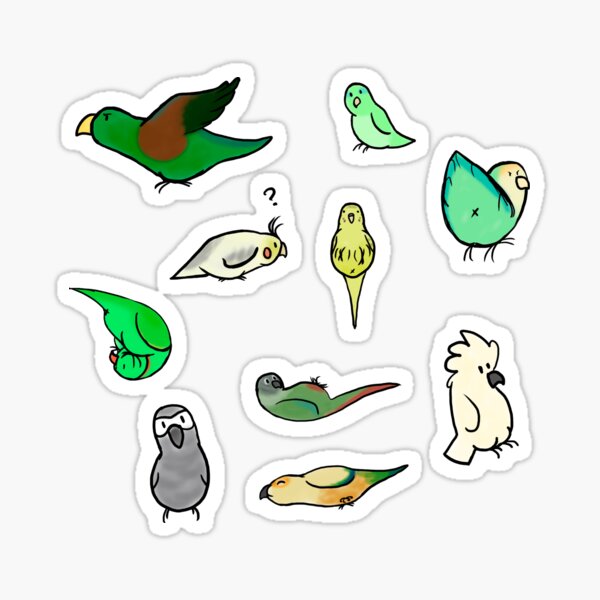 Birbs stickers Sticker