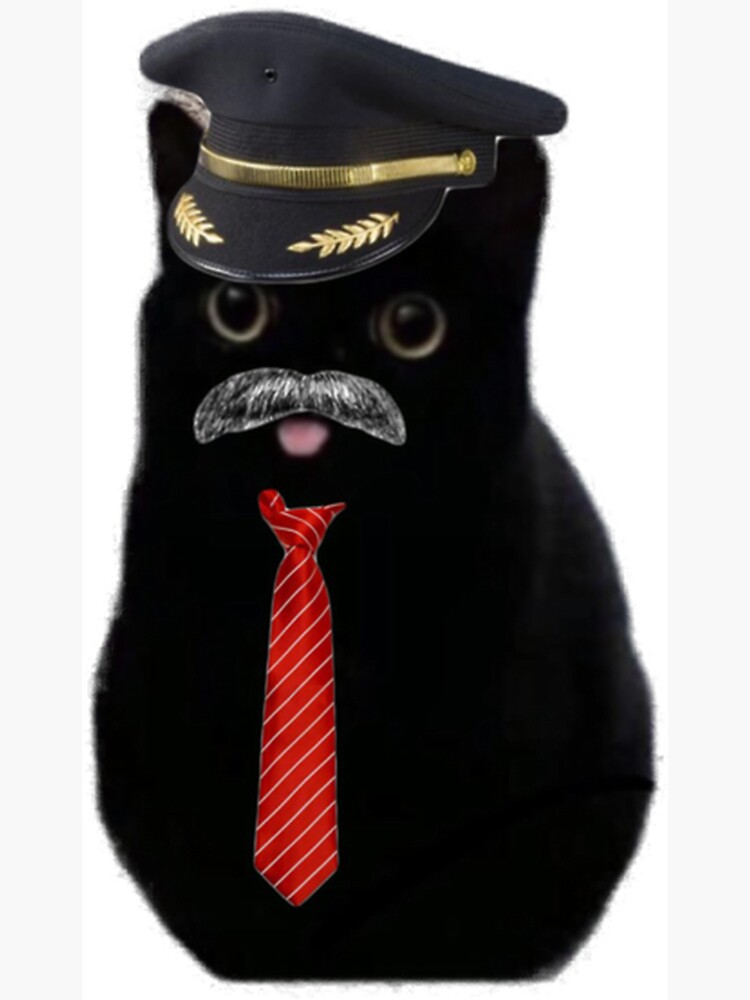 Thumbnail 3 of 3, Magnet, Captain Walter Berry designed and sold by Catwithhardhat.