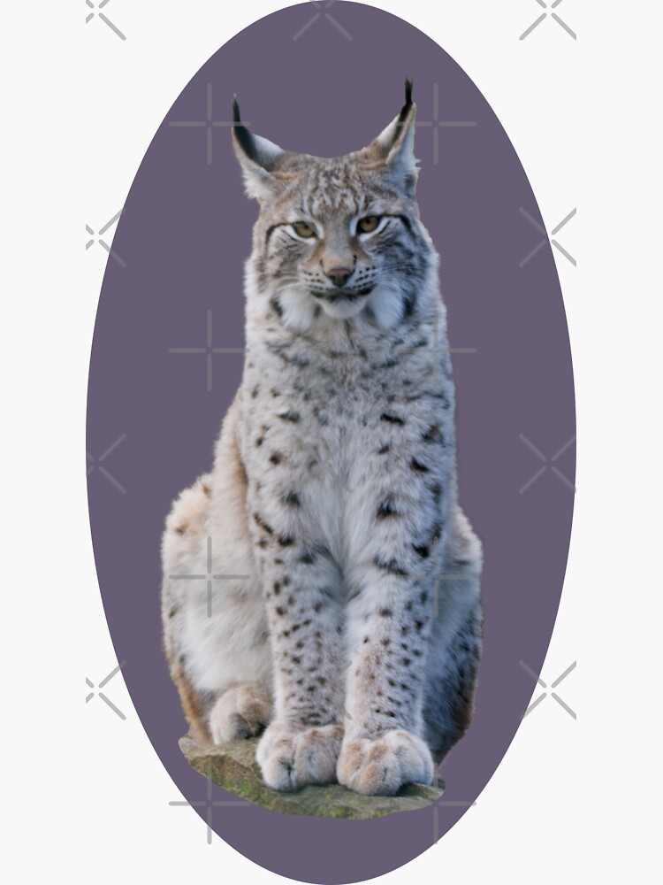 Thumbnail 3 of 3, Sticker, Look - the Lynx is watching you designed and sold by SiobhanFraser.
