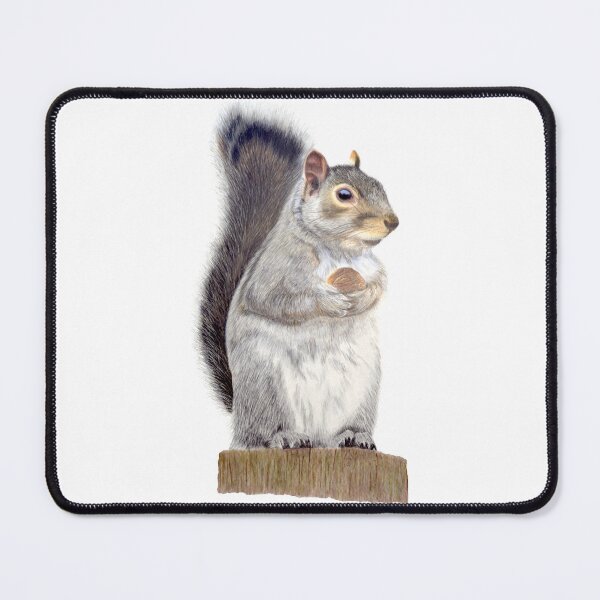 Item preview, Walnut squirrel by Béatrice Bisiaux designed and sold by BEATRICE BISIAUX.
