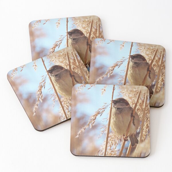Item preview, Male sparrow in the reeds designed and sold by WildEncounters.