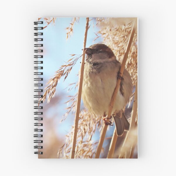 Item preview, Male sparrow in the reeds designed and sold by WildEncounters.