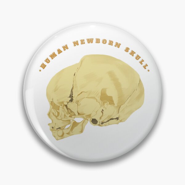 Item preview,  Human skull of newborn lateral view - Anatomical Art designed and sold by Carola-art.