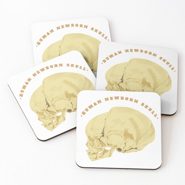Item preview,  Human skull of newborn lateral view - Anatomical Art designed and sold by Carola-art.