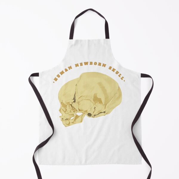 Item preview, Human skull of newborn lateral view - Anatomical Art designed and sold by Carola-art.