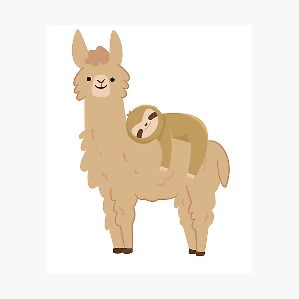 Adorable Sloth Relaxing on a Llama | Funny Llama Sloth Photographic Print