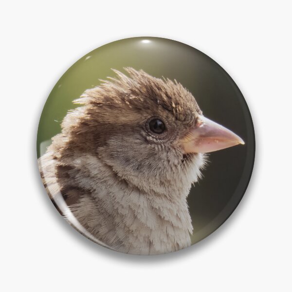 Item preview, Female sparrow designed and sold by WildEncounters.
