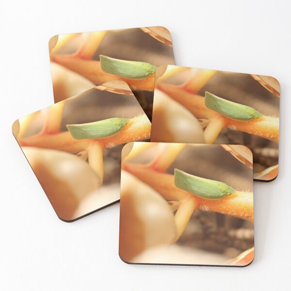 Item preview, Green Leaf Hopper designed and sold by reflector.