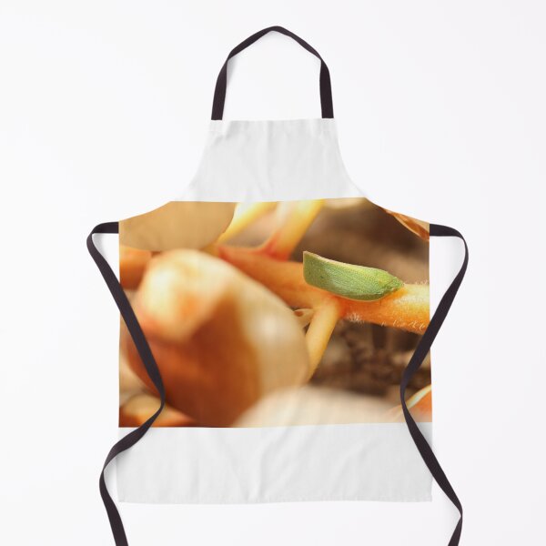 Item preview, Green Leaf Hopper designed and sold by reflector.