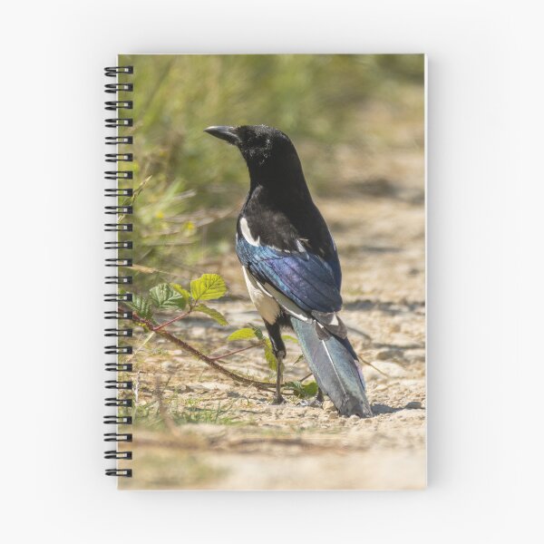 Item preview, Eurasian Magpie designed and sold by UKMatt2000.