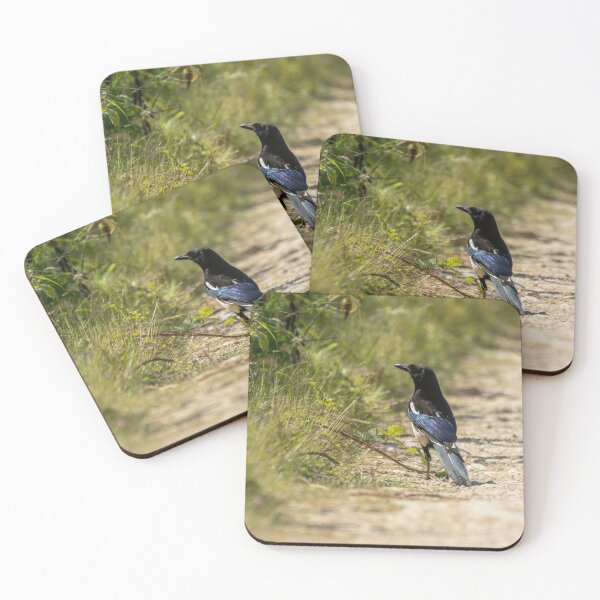 Item preview, Eurasian Magpie designed and sold by UKMatt2000.
