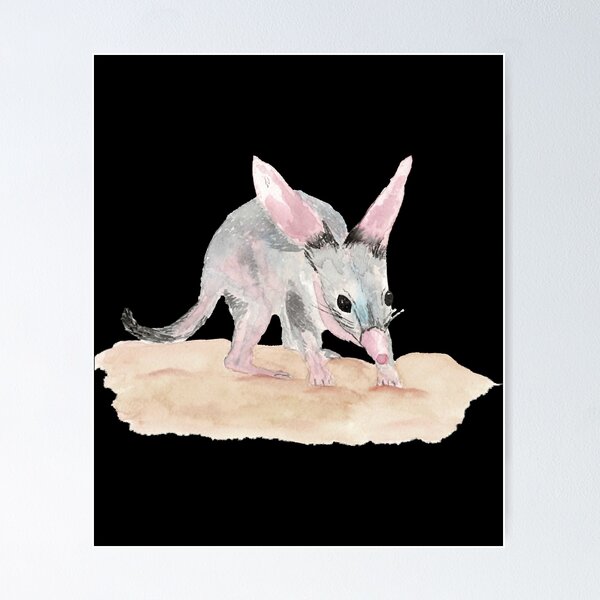Item preview, Bilby    designed and sold by leora-bowens.