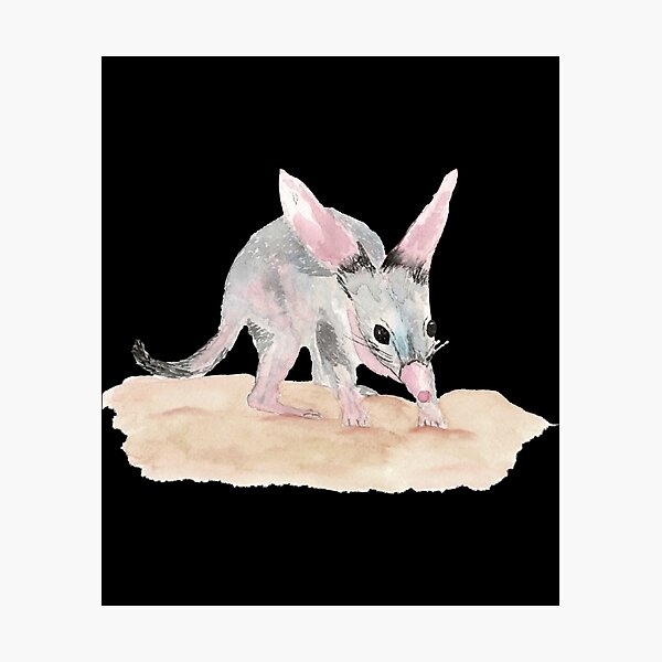 Item preview, Bilby    designed and sold by leora-bowens.