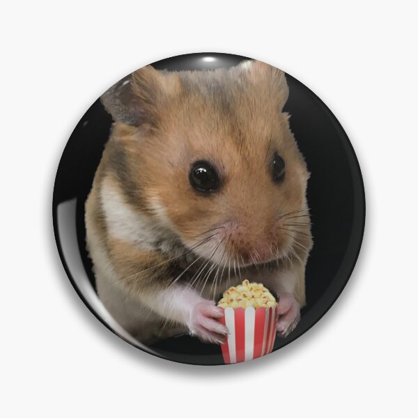 Artikelvorschau, Zeit für Hamsterfilme entworfen und verkauft von JennHolton.