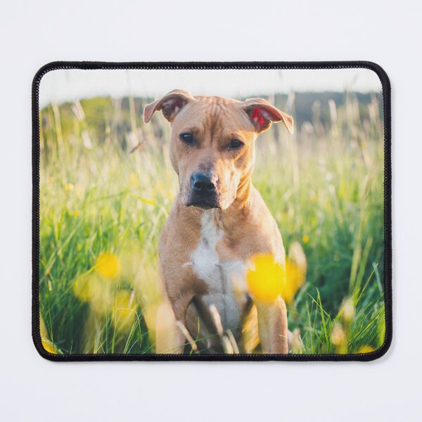 Aperçu de l'œuvre Chien dans le champ de fleurs créée et vendue par WeightPulling.