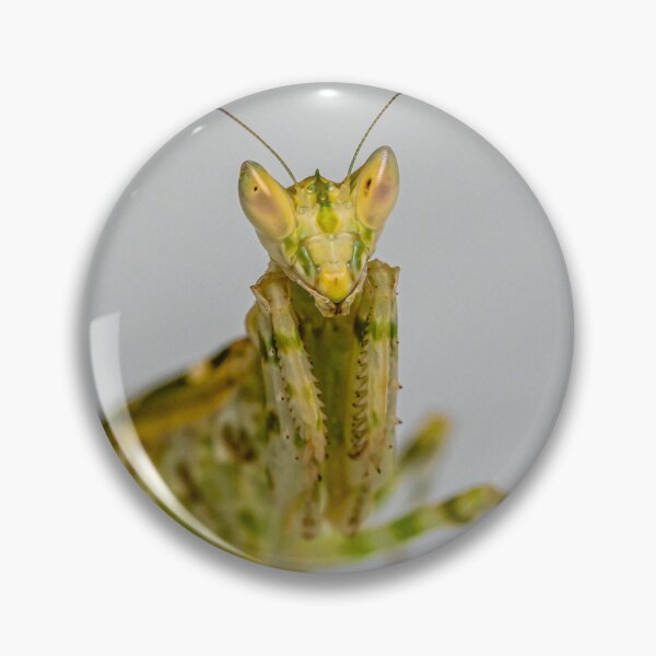 Item preview, Jeweled Praying Mantis designed and sold by TUmantis.