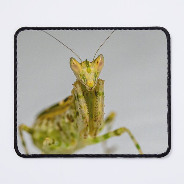 Item preview, Jeweled Praying Mantis designed and sold by TUmantis.