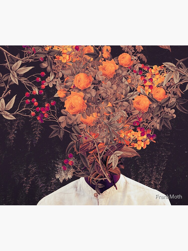 Bloom by FrankMoth