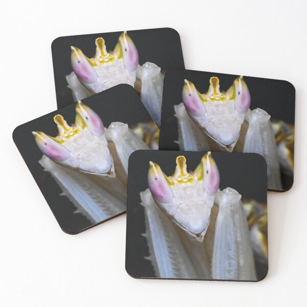 Item preview, Orchid Praying Mantis designed and sold by TUmantis.