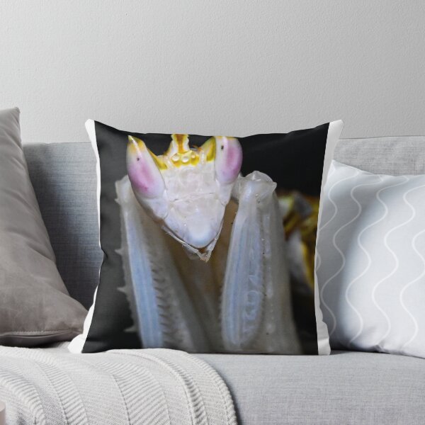 Item preview, Orchid Praying Mantis designed and sold by TUmantis.