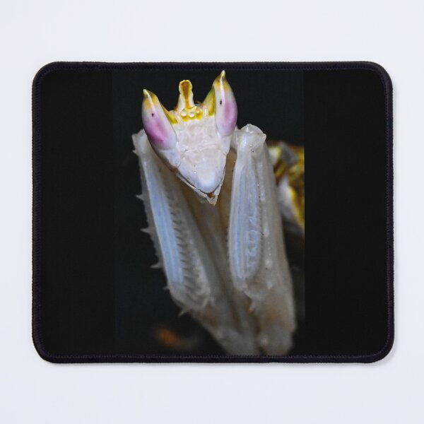 Item preview, Orchid Praying Mantis designed and sold by TUmantis.