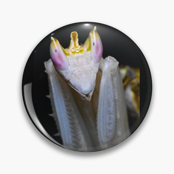 Item preview, Orchid Praying Mantis designed and sold by TUmantis.