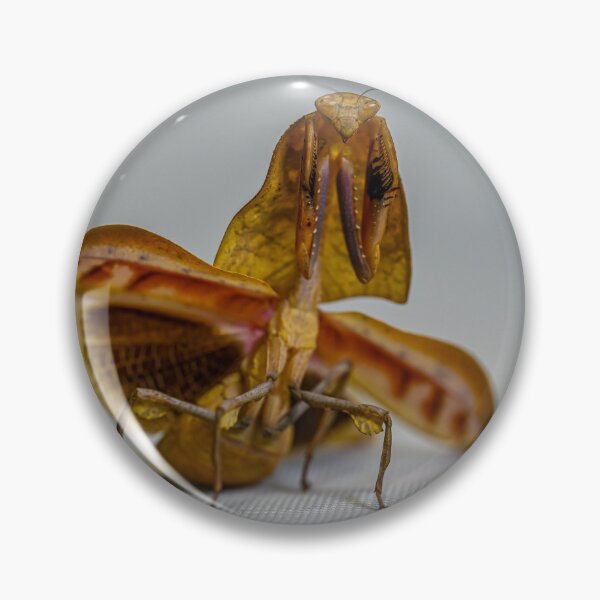 Item preview, Dead leaf mantis threat designed and sold by TUmantis.