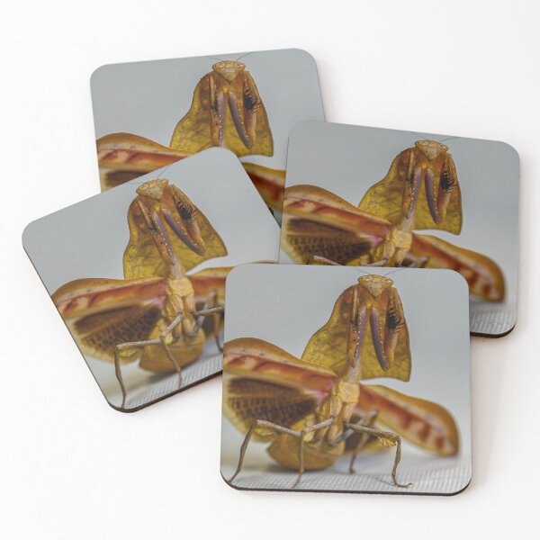 Item preview, Dead leaf mantis threat designed and sold by TUmantis.