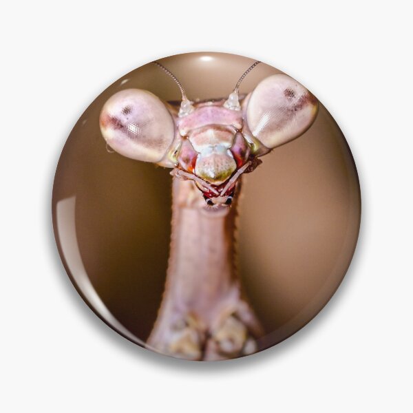 Item preview, Bug Eyes designed and sold by TUmantis.