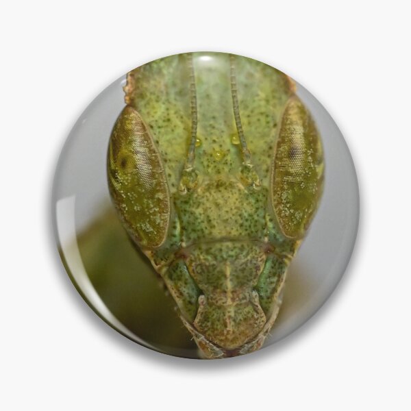 Item preview, Green Ghost mantis designed and sold by TUmantis.