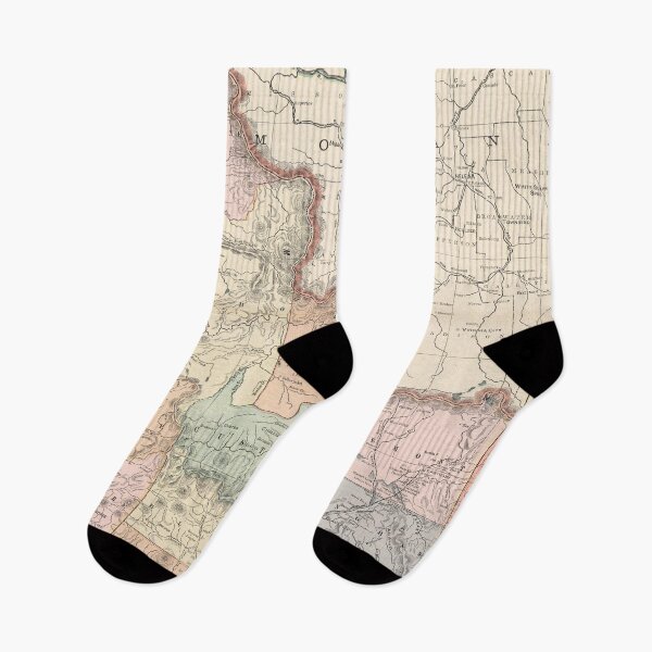 Item preview, Vintage Map of Idaho (1901) designed and sold by BravuraMedia.