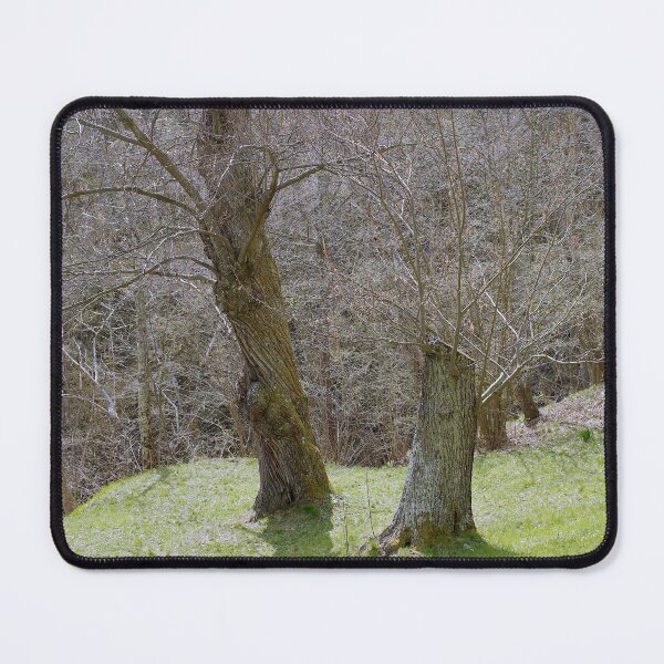 Item preview, 2014 Albero che ricresce designed and sold by robertoferrero.