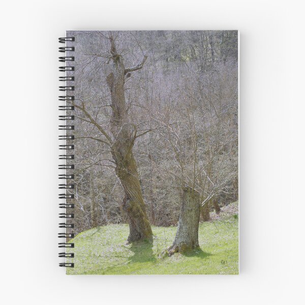 Item preview, 2014 Albero che ricresce designed and sold by robertoferrero.